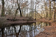 DSC_0267.JPG