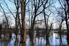 DSC_0334-EDIT.jpg