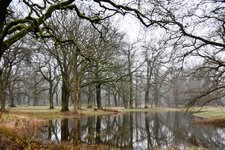 DSC_0046-EDIT.jpg