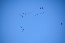DSC_0069-EDIT.jpg