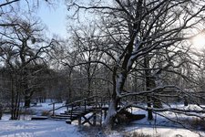 DSC_0037.JPG DSC_0037.JPG