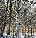 DSC_0313.JPG