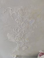 IMG-20240221-WA0000.jpg