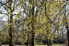 DSC_0145-EDIT.jpg