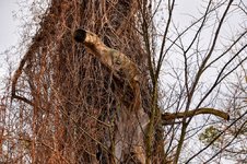 DSC_0047-EDIT.jpg