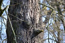 DSC_0097.JPG
