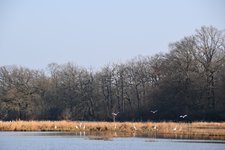 DSC_0046.JPG