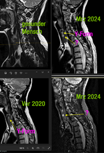 MRT-2024-schildruese.png