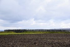 DSC_0119.JPG DSC_0119.JPG