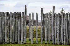 DSC_0056.JPG DSC_0056.JPG