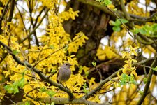 DSC_0004-EDIT.jpg