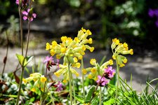 DSC_0017-EDIT.jpg