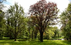 DSC_0069-EDIT.jpg