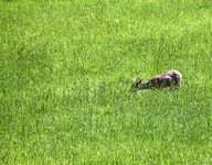 DSC_0008.JPG