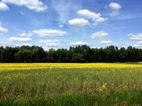 IMG_6608.JPG