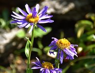 DSC_0052.JPG