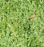 DSC_0236-EDIT.jpg