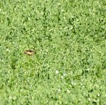 DSC_0239-EDIT.jpg