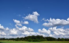 DSC_0258.JPG