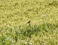 DSC_0159-EDIT.jpg