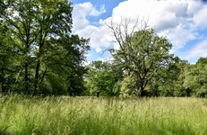 DSC_0038-EDIT.jpg