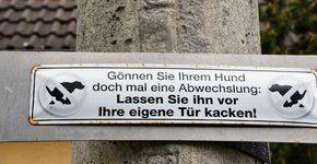 DSC_0082.JPG