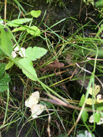 IMG_6734.JPG