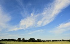 DSC_0120.JPG