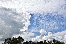 DSC_0064.JPG