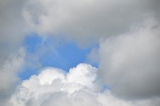 DSC_0007.JPG