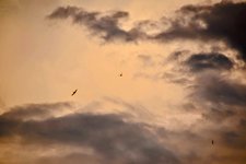 DSC_0026-EDIT-EDIT.jpg