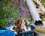 DSC_0375-EDIT.jpg