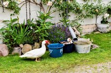 DSC_0374-EDIT.jpg