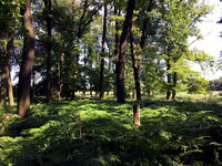 IMG_6760.JPG