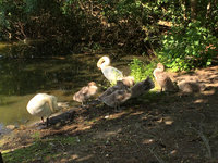 IMG_6782.JPG