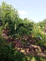 IMG_6790.JPG