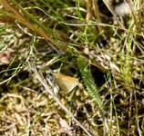 DSC_0020-EDIT.jpg