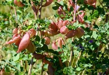 DSC_0052-EDIT.jpg