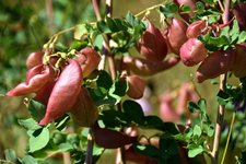 DSC_0053.JPG