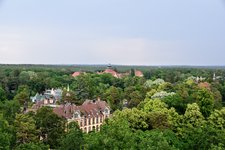 DSC_0202.JPG
