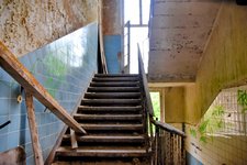 DSC_0030-EDIT.jpg