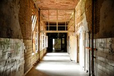 DSC_0042-EDIT.jpg