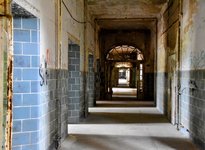 DSC_0027-EDIT (1).jpg