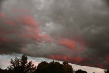 DSC_0019.JPG