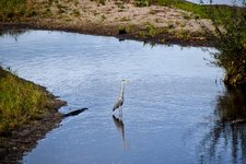 DSC_0173-EDIT.jpg
