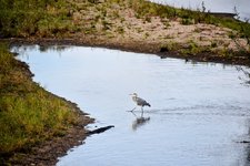 DSC_0205-EDIT.jpg