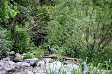 DSC_0086-EDIT.jpg