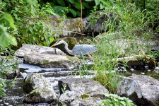 DSC_0106-EDIT.jpg