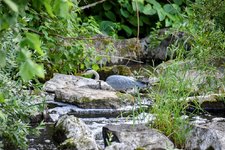 DSC_0108-EDIT.jpg