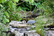 DSC_0127-EDIT.jpg